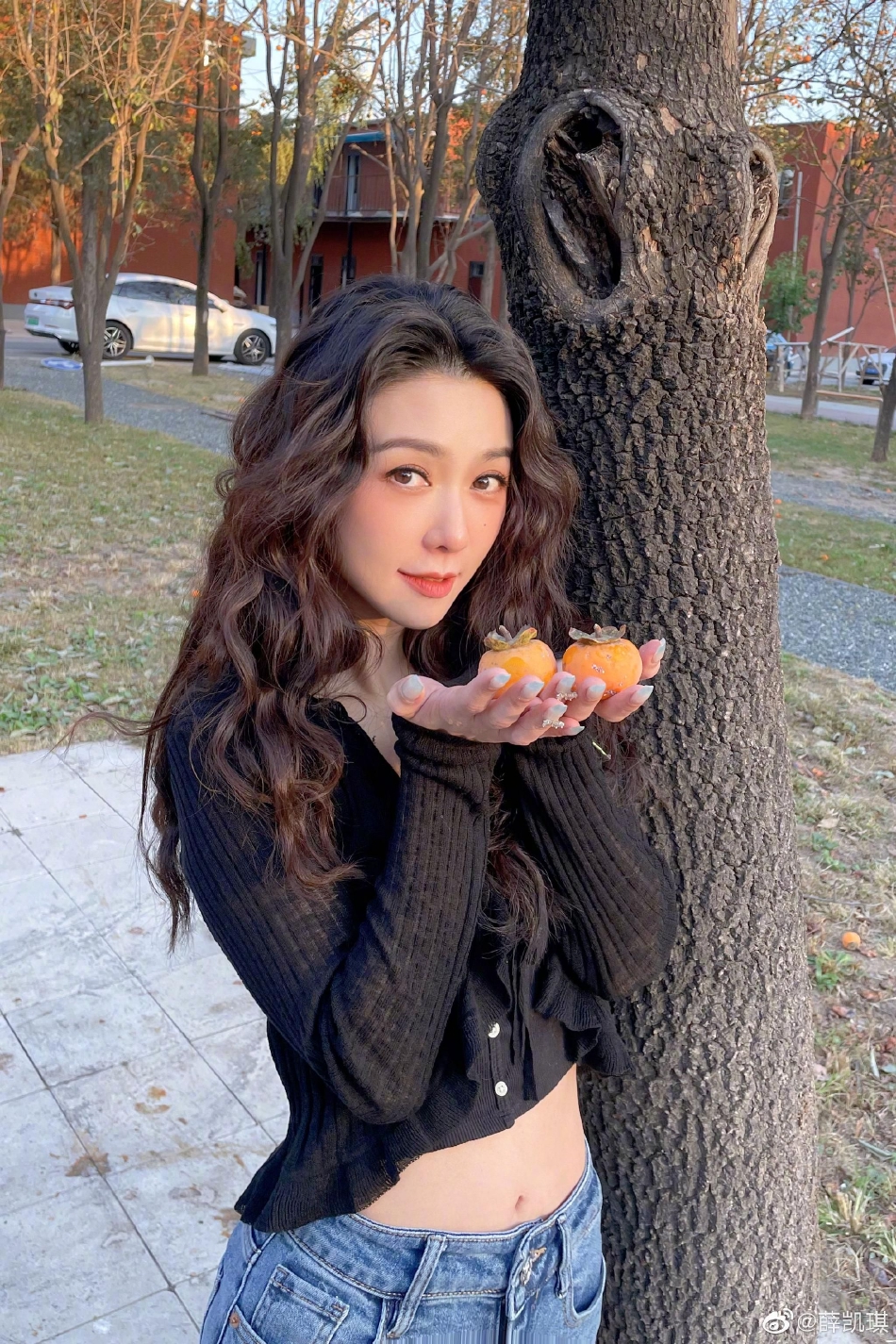 　　陈政高于1970年担任辽宁省海城县革委会政工组办事员；1978年任大连海运学院团委书记；1982年任辽宁省大连团市委常委、学校部部长；1985年任辽宁省大连市长海县副县长；1988年任辽宁省大连市西岗区委常委、副区长（主持工作）；1993年任辽宁省大连市副市长；1997年任辽宁省省长助理；1998年任辽宁省副省长；2003年任辽宁省沈阳市委副书记、市长；2008年任辽宁省委副书记、省长。