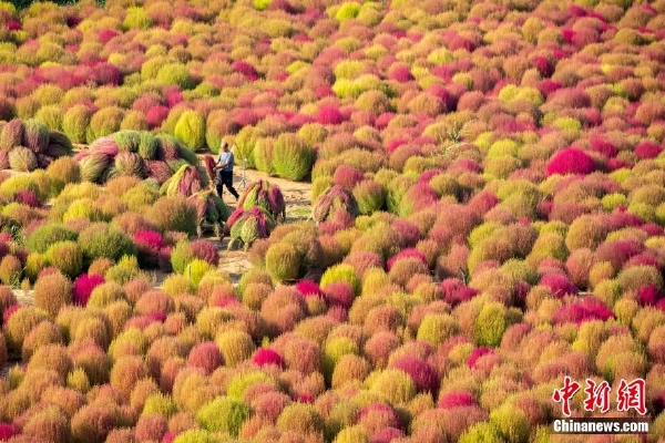 　　要解决这一问题，放松税收征管并非良策，因为这不仅涉及税务机关工作人员渎职问题，也影响社会公平，毕竟各地税务机关征管力度不一，将影响企业公平竞争，有违全国统一大市场构建。