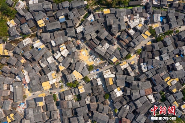 　　1978年，国家启动“三北防护林”工程。三北是西北、华北及东北的统称，这个横跨整个北方的防护林工程体系，集中涵盖了风沙危害和水土流失严重的区域。“三北防护林工程”被誉为世界上“最大的植树造林工程”，科尔沁沙地是造林重点。它横跨三省区、涉及面积7760万亩，科左中旗的希伯花镇也是这沙地环绕的一部分。