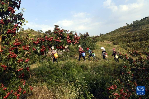 　　马可波罗表示，由于公司下游房地产受宏观经济及政策调控影响较大，若宏观经济环境或公司所处的竞争环境发生重大不利变化，可能影响公司产品价格以及经营业绩的稳定性，公司营业利润存在进一步下滑的风险。