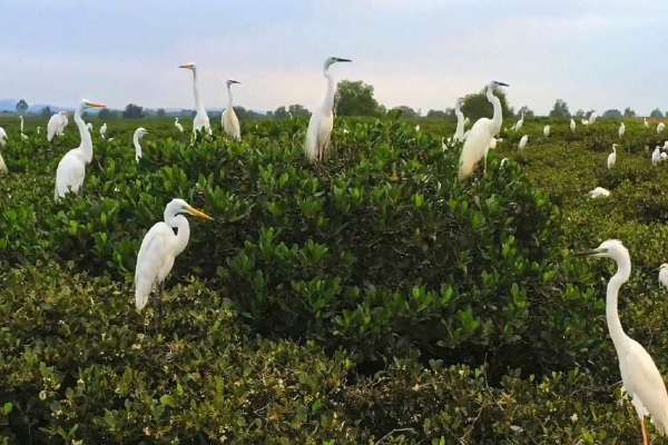 　　[环球时报-环球网报道 记者李萌]在3月21日外交部例行记者会上，有记者提问称，最近国际媒体出现了一些批评中国经济的论调，包括对中国实现经济增长目标的能力表示怀疑，认为中国经济陷入了困境。2023年增长乏力，2024年将会更加糟糕。与此同时有更多积极正面的声音认为在全球不确定性增加的背景下，中国经济增长超出预期，证明其经济治理是有效的。请问发言人对此有何评论？