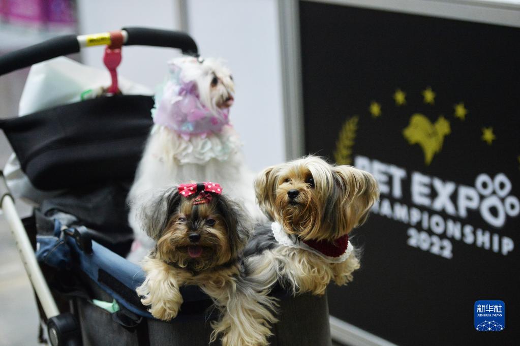 　　2023年7月，中共中央总书记、国家主席、中央军委主席习近平在四川考察时指出，四川要发挥高校和科研机构众多、创新人才集聚的优势和产业体系较为完善、产业基础雄厚的优势，在科技创新和科技成果转化上同时发力。