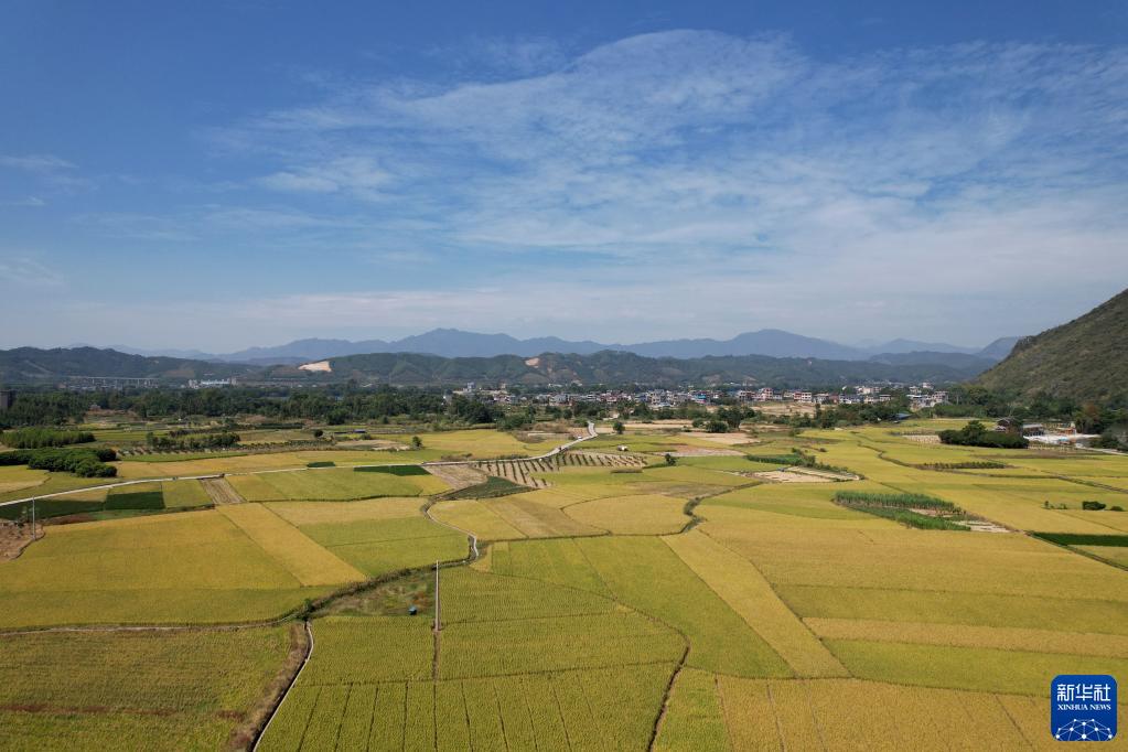 　　国家金融监督管理总局副局长肖远企表示，金融监管部门认真贯彻落实党中央国务院决策部署，与地方党委政府和相关部门密切协作，合力做好中小银行的改革和风险防控，不断提升中小银行经营管理水平。重点发力方面，首先是要强化公司治理，优化股权结构，特别是严防大股东操纵和内部控制，严防利益输送和违法违规关联交易。