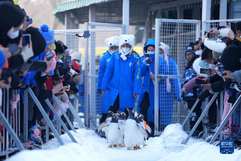 　　在精心组织实施空间站应用与发展阶段各项任务的同时，瞄准2030年前实现中国人首次登陆月球的目标，2024年载人月球探测工程登月阶段任务各项研制建设工作也将加紧推进。目前，长征十号运载火箭、梦舟载人飞船、揽月月面着陆器、登月服等主要飞行产品全面进入初样研制阶段，文昌发射场配套登月任务的各项测试发射设施设备也将全面启动建设，各系统相关研制建设工作正在按计划推进。